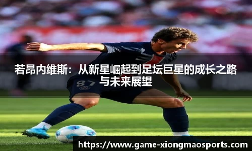熊猫体育