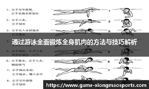 熊猫体育
